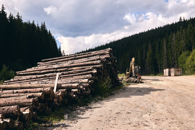 Protokolle in einem Sägewerkshof. Stapel von Holzstapel Brennholz Textur Hintergrund. Baumstämme geschnitten und im Busch gestapelt. Holzeinschlag.