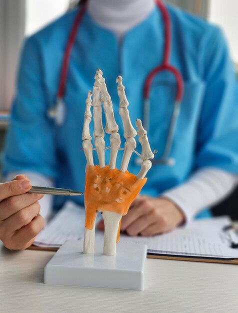 Un proveedor de atención médica explica la anatomía de la mano con un modelo 3D