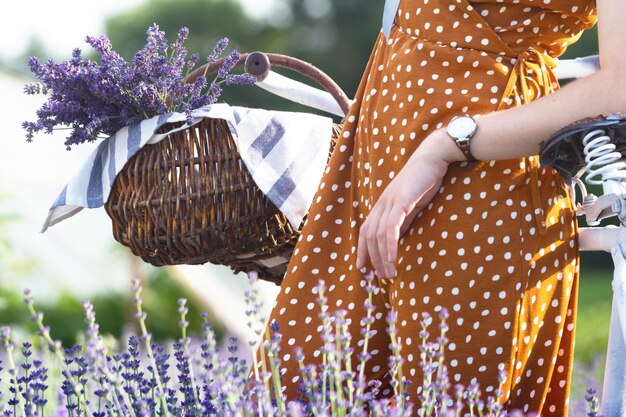 Provence garota no campo de lavanda