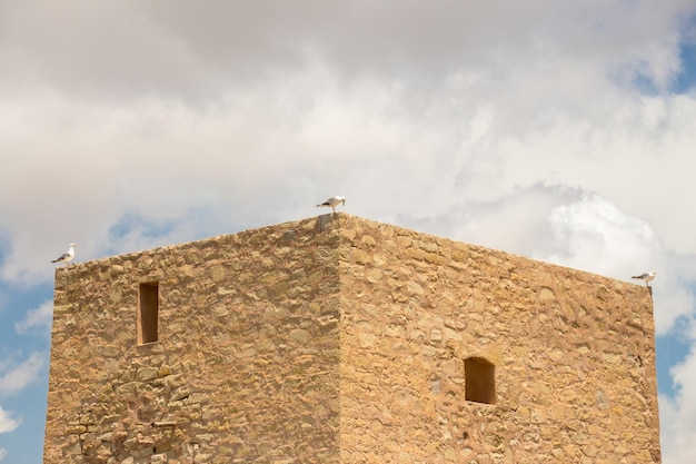 Província de Alicante Santa Pola La Torre del Tamaril
