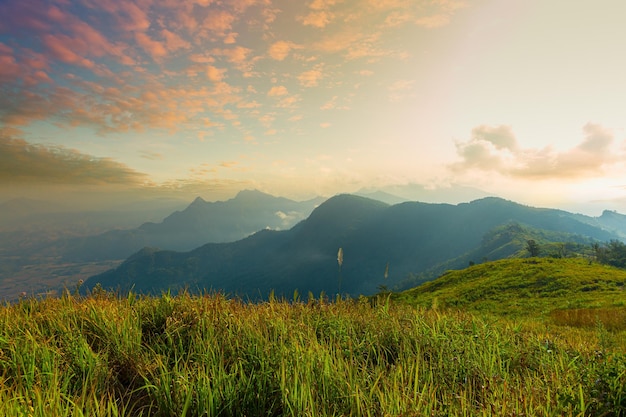 Província de Phu Chee Dao Chiang Rai TailândiaNascer do sol em Phu chee dao pico da montanha em Chiang rai