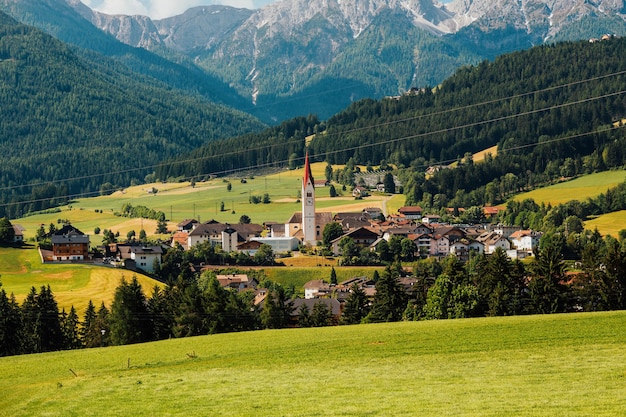 Cavalos Loiros Sorrir Prado Siusi Alpes Trentino Alto Adige Itália