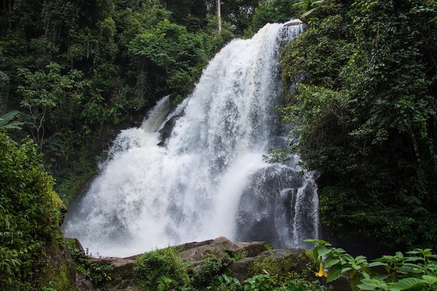 Provincia de Tailandia de Pha Dok Siao Waterfall Waterfall, caída hermosa del agua en Tailandia.