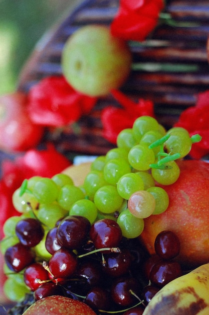 Foto próximo plano dos frutos