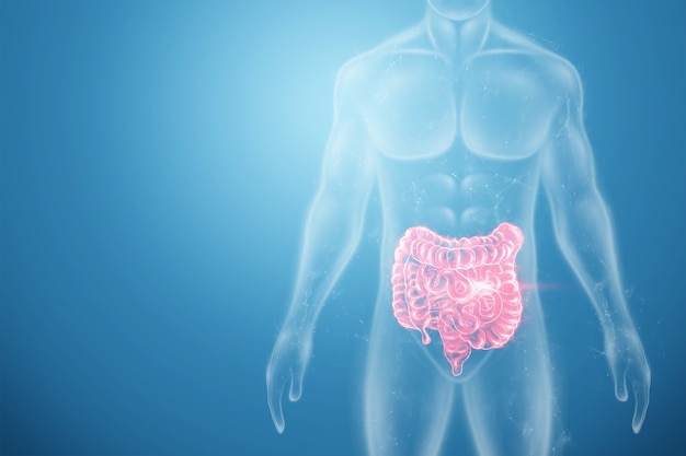 Proyección holográfica de una exploración del intestino irritable rojo con datos médicos.