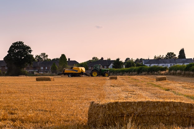 Prozess der Heuernte während der Ernte