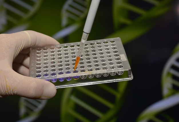 Pruebas de ADN en el laboratorio.