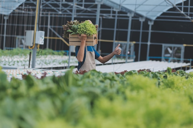 Pruebas de trabajadores agrícolas orgánicos y recopilación de datos ambientales de vegetales orgánicos bok choy en el jardín de la granja de invernadero