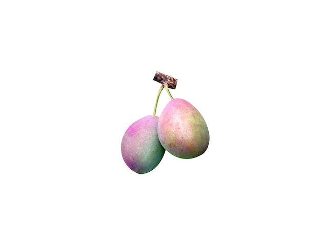 Prunus domestica é um fruto comestível e geralmente doce, embora algumas variedades sejam ácidas