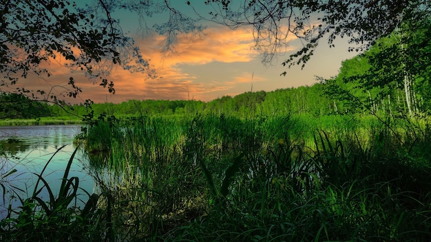 Foto przepiekny park z jeziorem