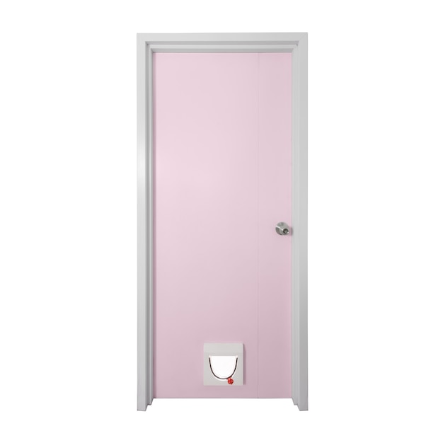 Pu-Tür mit modernem Katzentür-Isolat auf weißem Hintergrund