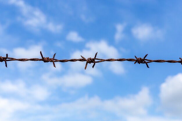 Púa sobre fondo de cielo azul para el concepto de libertad