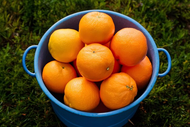 Publicar laranjas frescas e deliciosas dispostas cuidadosamente em um balde azul