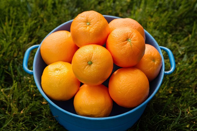 Publicar naranjas frescas y deliciosas arregladas cuidadosamente en un cubo azul