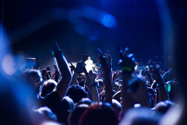 Público com os braços levantados em um concerto de música