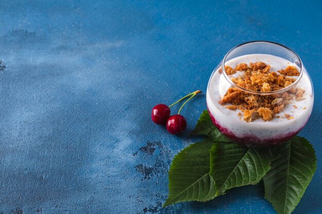 Pudín de chía con granola y frutos rojos.