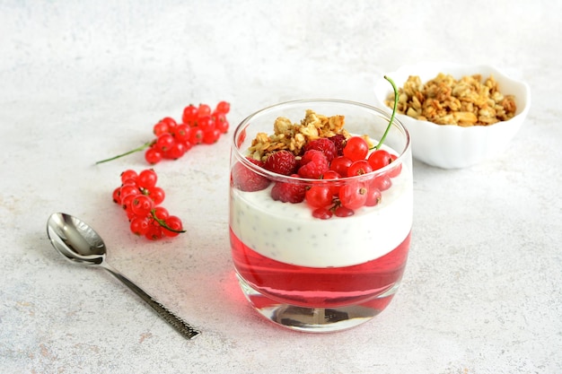 pudín de chía con grosellas rojas de frambuesa y gelatina en vaso para beber