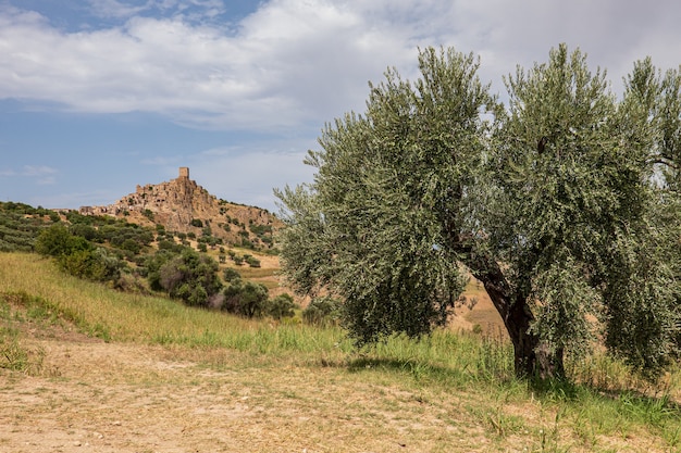 Foto el pueblo abandonado de craco en basilicata italia