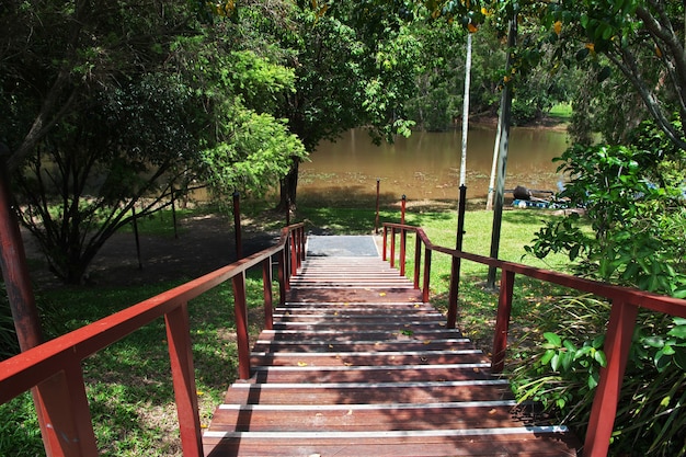 El pueblo de los aborígenes de Australia, Cairns