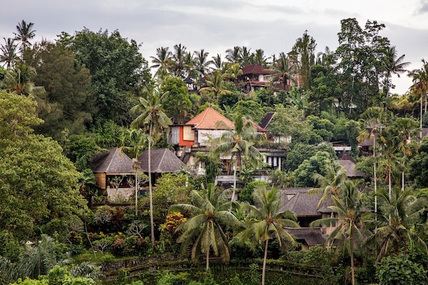 Foto pueblo asiático en la selva.