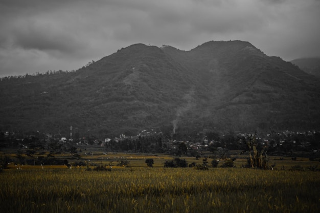 Un pueblo en un campo con montañas al fondo.