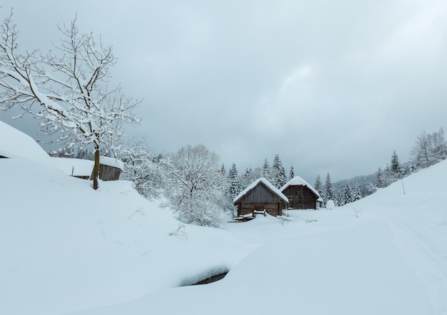 Pueblo de los Cárpatos de invierno