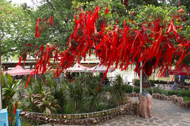 El pueblo chino ató la bandera sagrada en la rama del árbol sagrado para rezar en el jardín del parque Zhongshan en la ciudad de Shantou o la ciudad de Swatow el 9 de mayo de 2018 en Guangdong, China