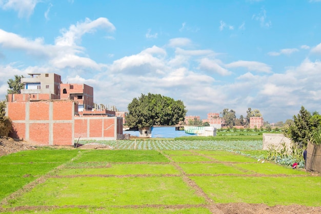 Pueblo egipcio tradicional cerca de El Cairo, Egipto