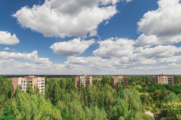 El pueblo fantasma de Pripyat está cubierto por un bosque salvaje que se siembra a sí mismo