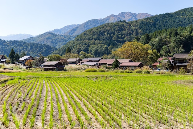 Pueblo japonés de Shirakawago