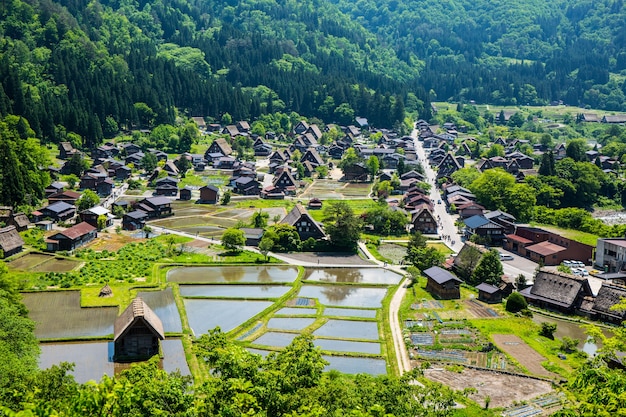 Pueblo japonés