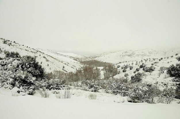 Pueblo de las Juntas de Gor, bajo un manto de nieve.