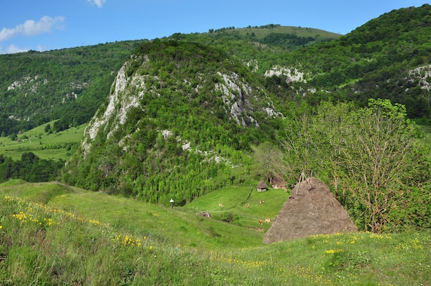 Pueblo de montaña con casas de madera aisladas