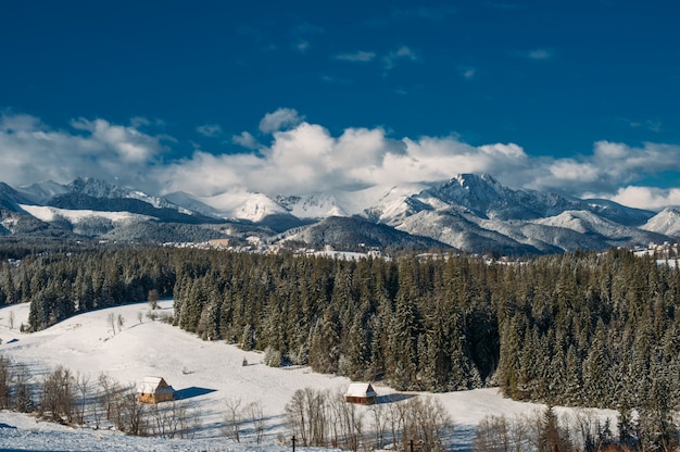 pueblo de montaña en la nieve en invierno