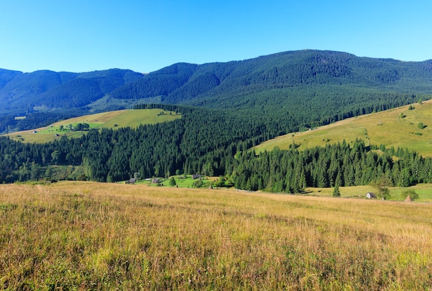 Pueblo de montaña. Paisaje campestre de verano con bosque de abetos en pendiente (Cárpatos, Ucrania, distrito de Verkhovyna, región de Ivano-Frankivsk).