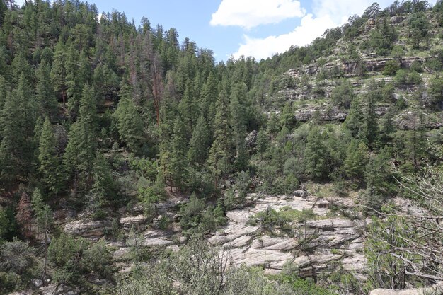 Pueblo nativo americano em Walnut Canyon Arizona