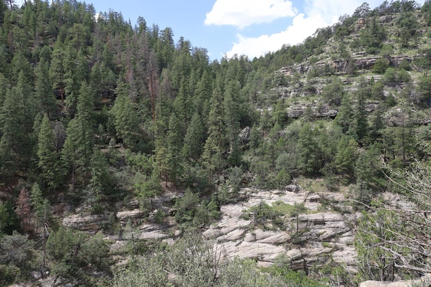 Pueblo nativo americano en Walnut Canyon Arizona