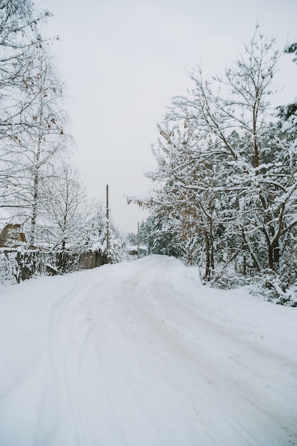 Pueblo ruso cubierto de nieve cerca del bosque