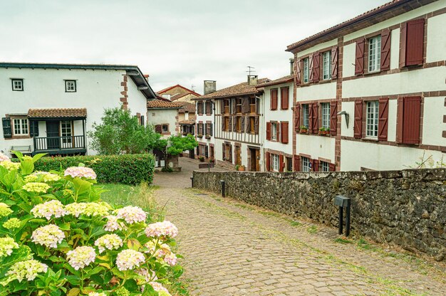 Foto el pueblo de la selva está rodeado por un pequeño pueblo.