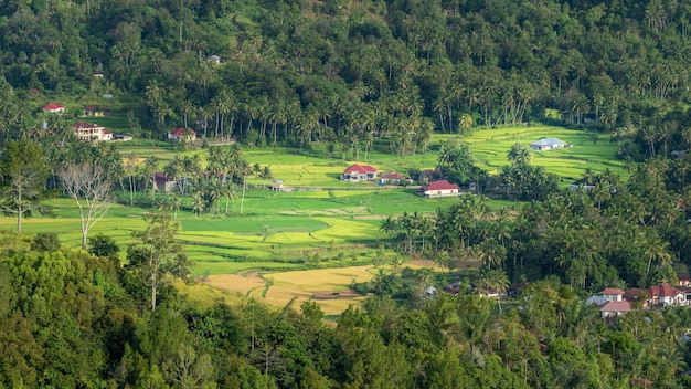 Un pueblo en la selva