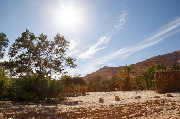 Foto el pueblo de sinai