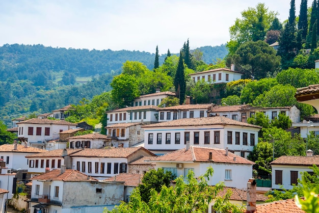 Un pueblo en Turquía en un día soleado y de verano