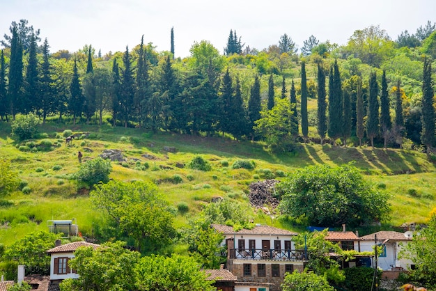 Un pueblo en Turquía en un día soleado y de verano