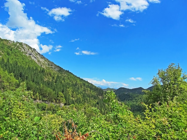 Pueblo del valle de montaña desde las alturas de Montenegro Hermosas montañas En un día soleado de verano