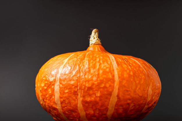 Se pueden usar calabazas con hermosos diseños y motivos naturales para Halloween, es realmente encantador.