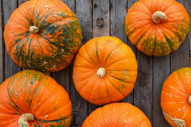 Se pueden usar calabazas con hermosos diseños y motivos naturales para Halloween, es realmente encantador.