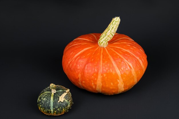 Se pueden usar calabazas con hermosos diseños y motivos naturales para Halloween, es realmente encantador.