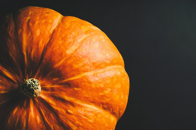 Se pueden usar calabazas con hermosos diseños y motivos naturales para Halloween, es realmente encantador.