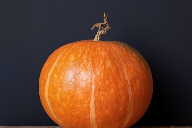 Se pueden usar calabazas con hermosos diseños y motivos naturales para Halloween, es realmente encantador.