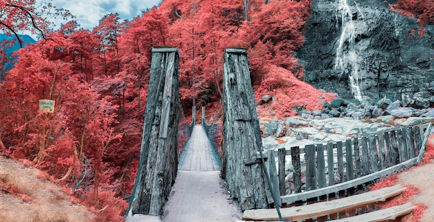 Foto un puente con un árbol rojo en él y un puente en el fondo